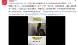 晨妈最新消息爆料,揭秘娱乐圈最新动态