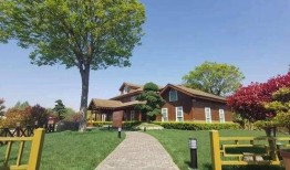 东营旅游爆料最新消息查询,探秘黄河入海口，体验生态休闲之旅